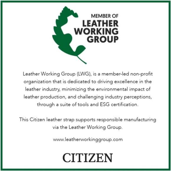 Citizen Men's Classic Eco-Drive Leather Strap Watch, 3-Hand Date - Picture 2 of 7